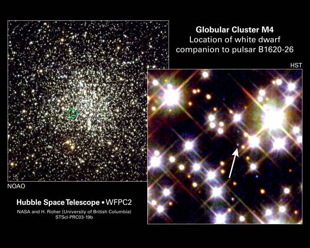 M4 glob clust white dwarfs
